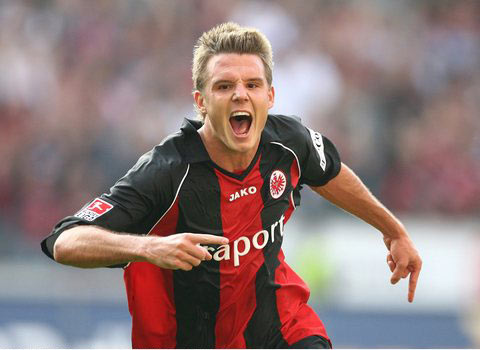 增添了不少 增添了不少